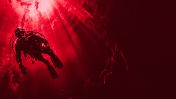 PARROT MEDIA Testseite PARROT MEDIA Testseite